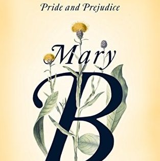 Mary B : The Fiction Addiction